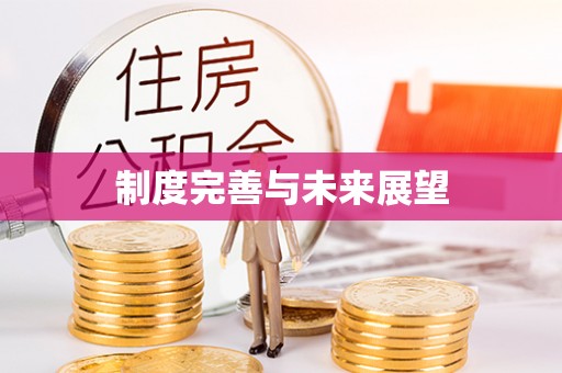 万年制度完善与未来展望