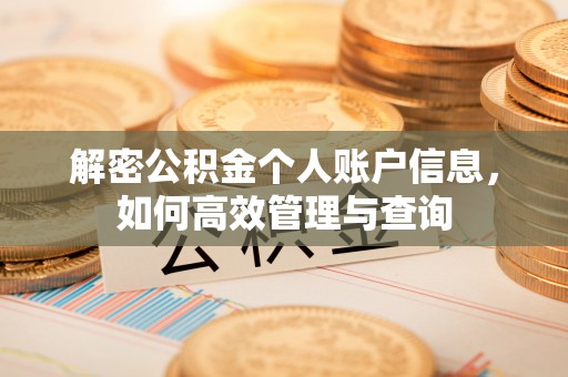 万年解密公积金个人账户信息，如何高效管理与查询