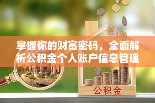 万年掌握你的财富密码，全面解析公积金个人账户信息管理