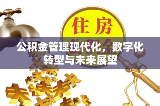 万年公积金管理现代化，数字化转型与未来展望