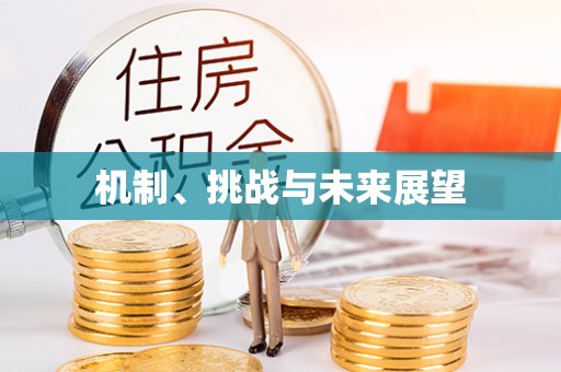 万年机制、挑战与未来展望